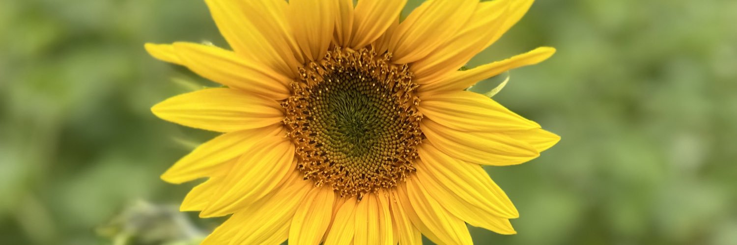 michaelaamiller's profile banner image