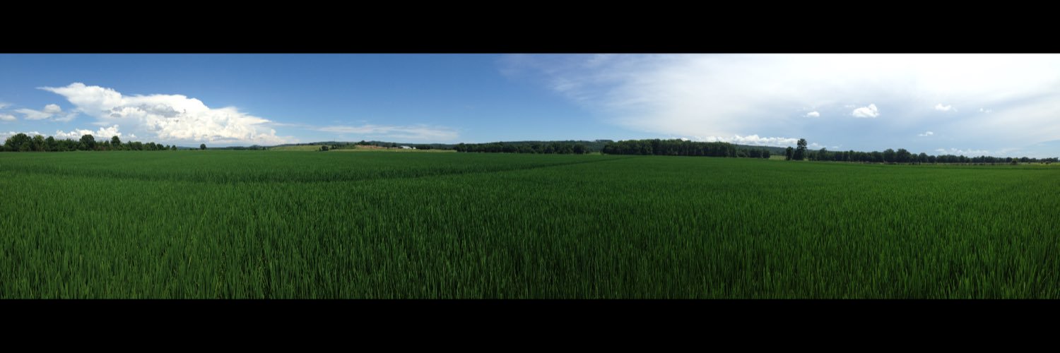 thecountyagent's profile banner image