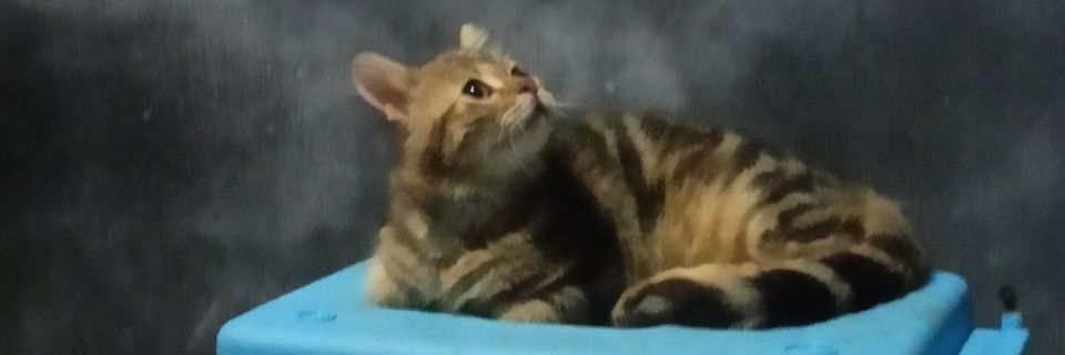 bradeurr's profile banner image