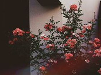Mariafe33173325's profile banner image