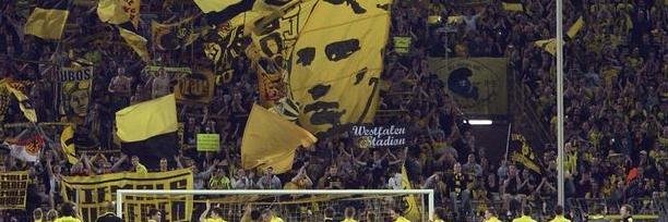 CD JC banner