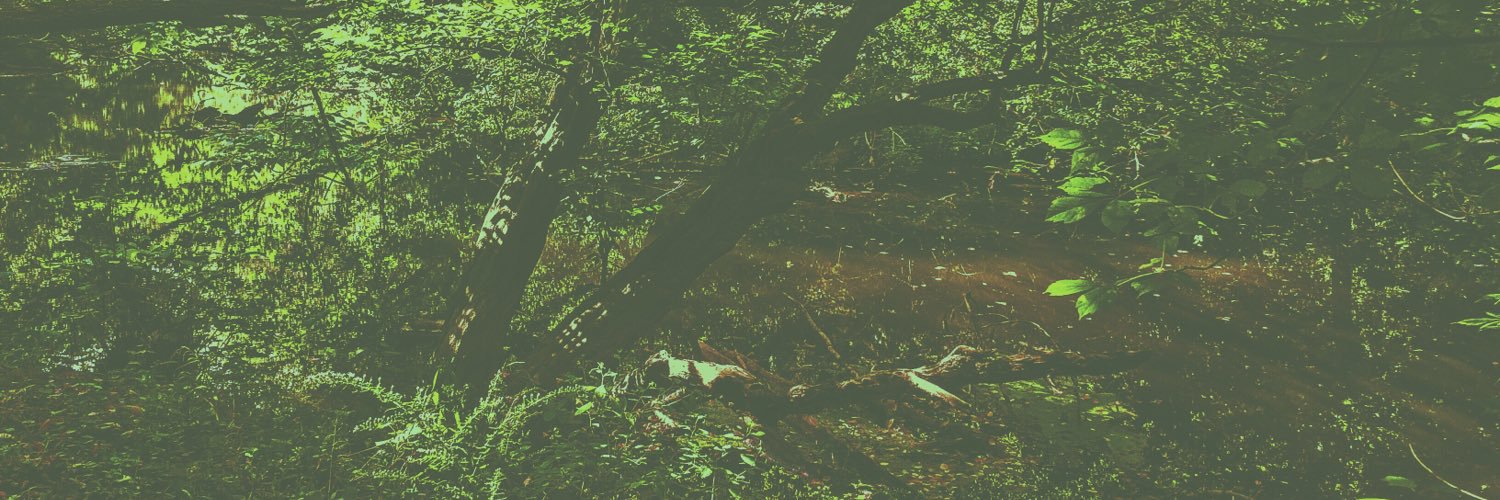 cecepants's profile banner image