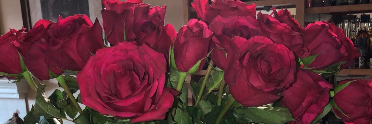 andreaa_732's profile banner image