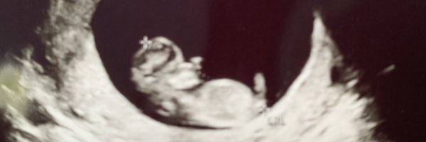 MadelynReuther Profile Banner