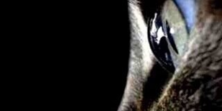 Apachedunn's profile banner image