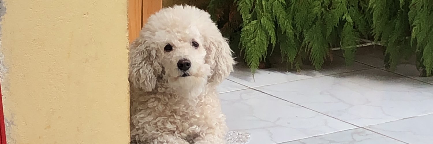 Jubetino's profile banner image