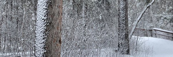 jackie gough Profile Banner