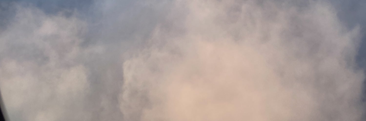 Lisa makwara banner