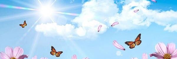 asa289072's profile banner image