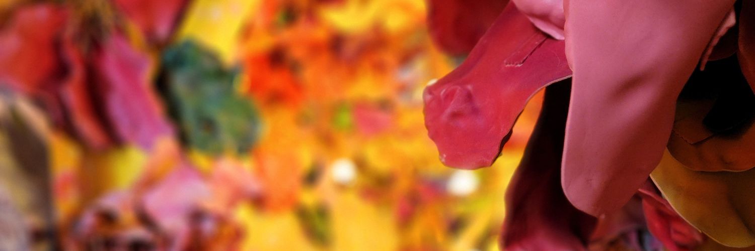 belholder's profile banner image