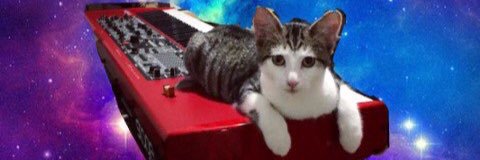 LowKeyTheCat's profile banner image