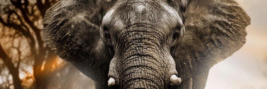 MelYoung1993's profile banner image