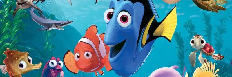 finding_nemo429's profile banner image