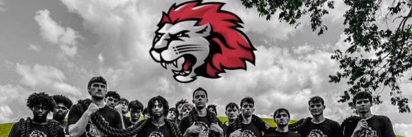 tryfactor Profile Banner