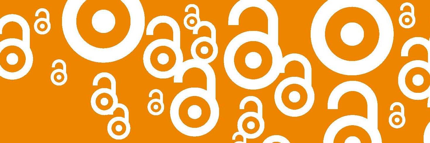 Tránsito Ferreras banner