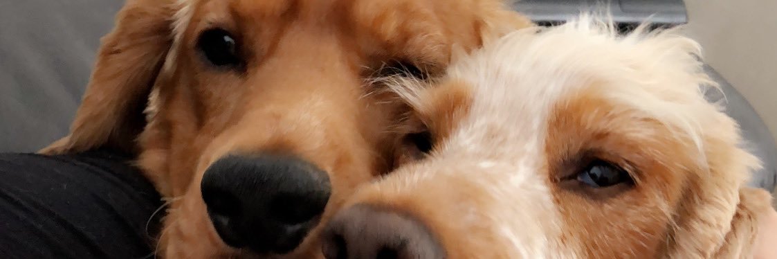tomward001's profile banner image