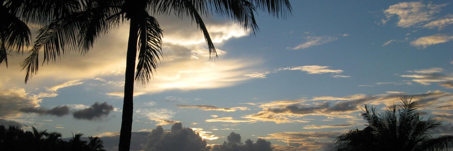 Maria_A_Torres's profile banner image