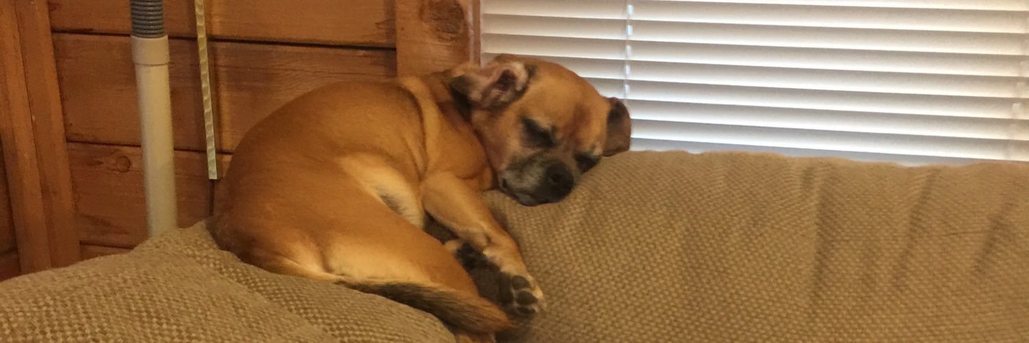 Revolio Clockberg Jr. banner