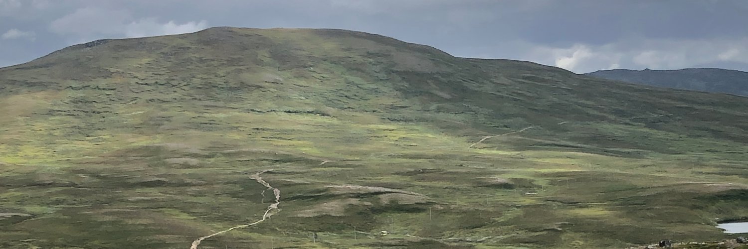 Kristine Höglund banner