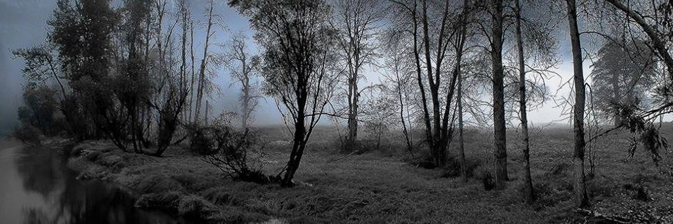 Morgan Noirmoutier banner