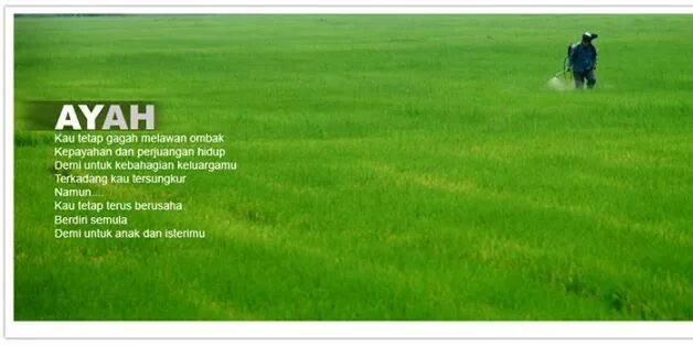 vidiapuspitauta's profile banner image
