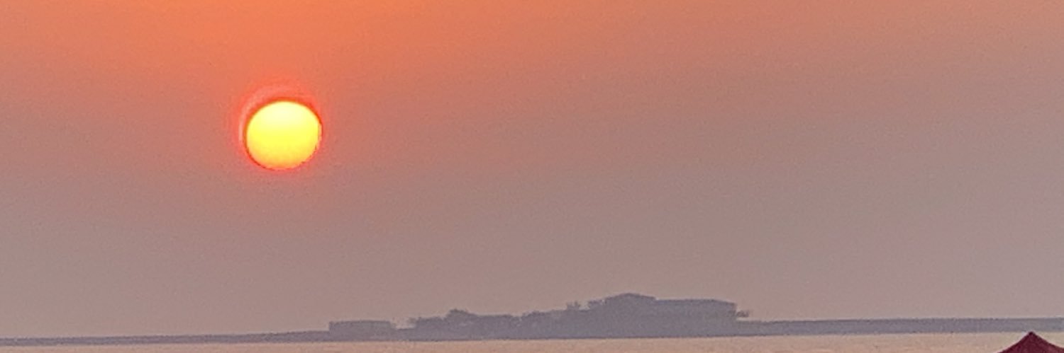 TweeTarzan's profile banner image