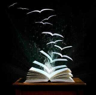 NatlibraryAD's profile banner image