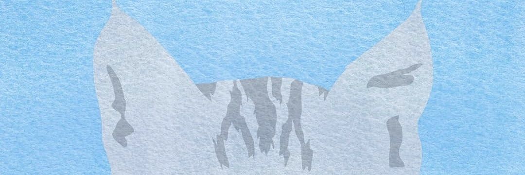dabli maia banner
