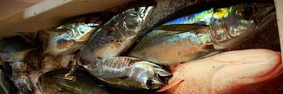 el_chupacabra banner