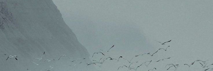 _maz21's profile banner image