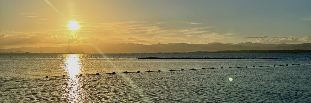 𝘳𝘺𝘴𝘵 banner