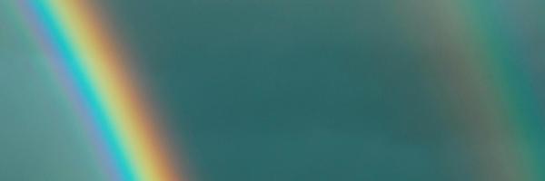 lornemitchell Profile Banner
