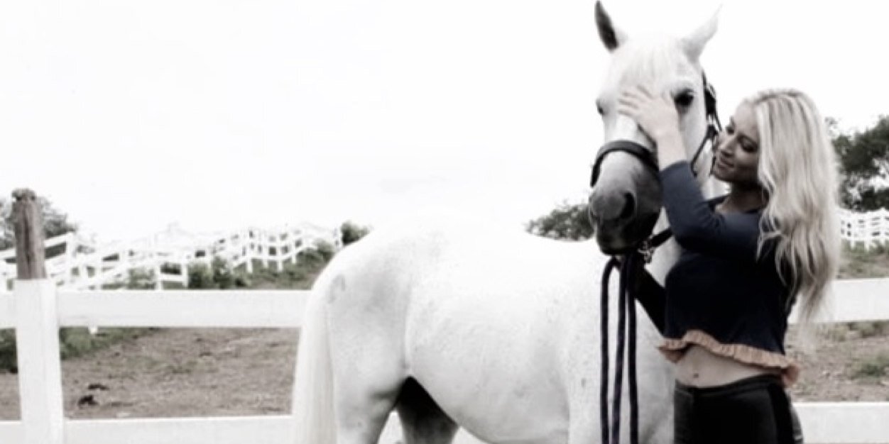 chanlerphelps's profile banner image