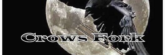 CrowsFork's profile banner image