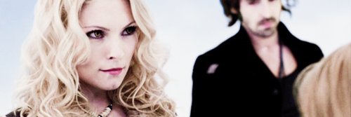 InsightfulBliss's profile banner image