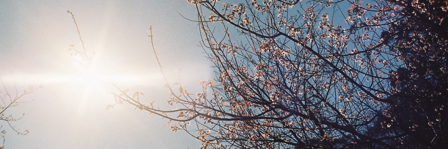 npkt96's profile banner image