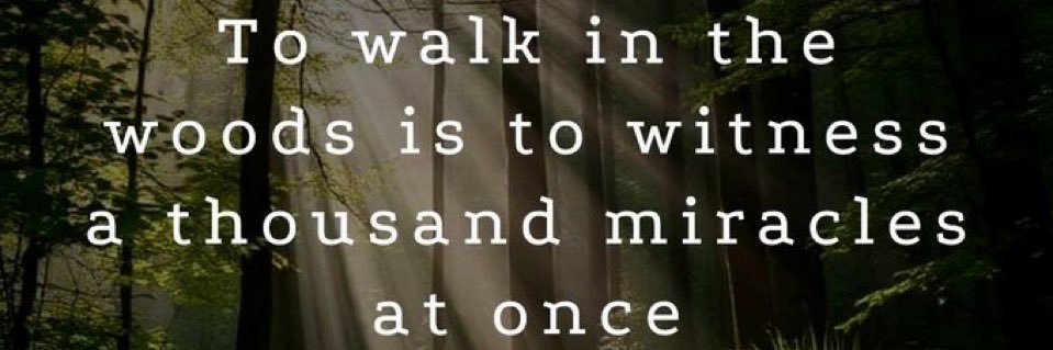 BestMooVersion banner