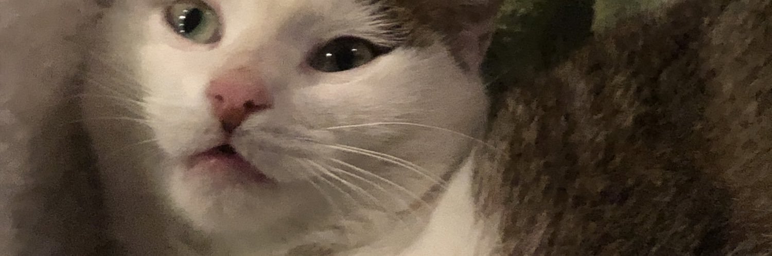 ECloatre's profile banner image