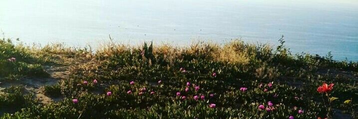 Chaima_AMTM's profile banner image
