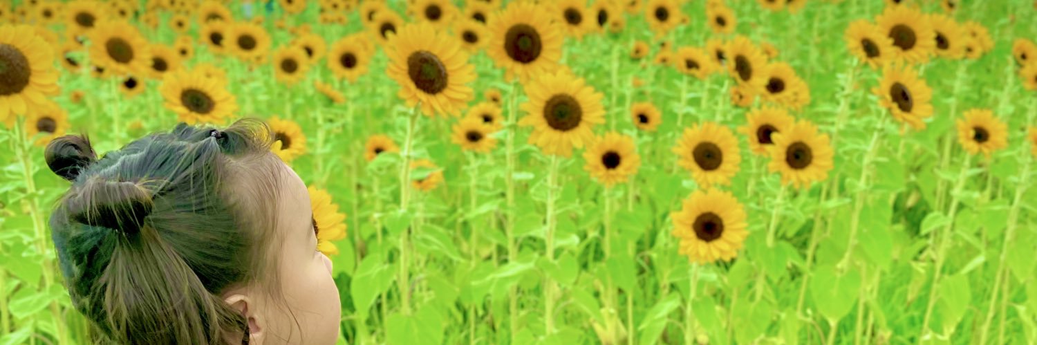 xcbcrx's profile banner image