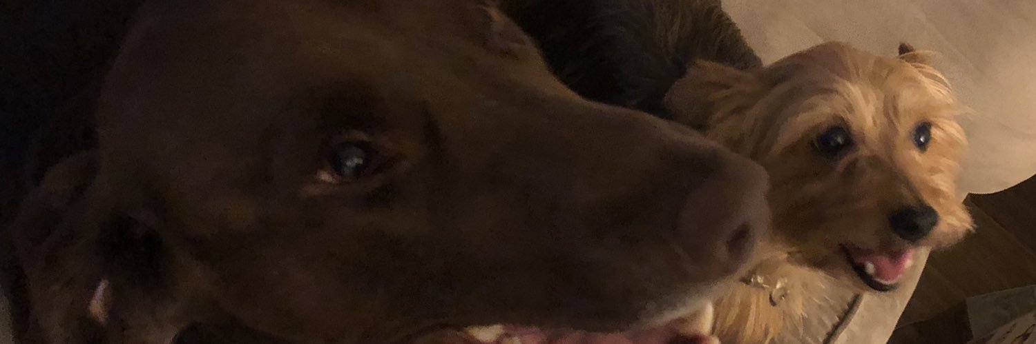 crblenkin's profile banner image
