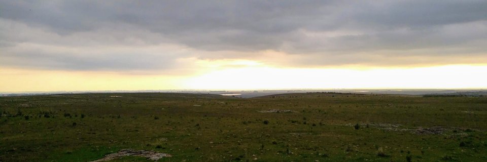 João Coblinski banner