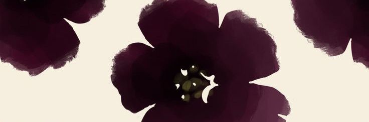 andreacquijada's profile banner image