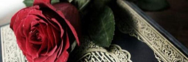 1_o111's profile banner image