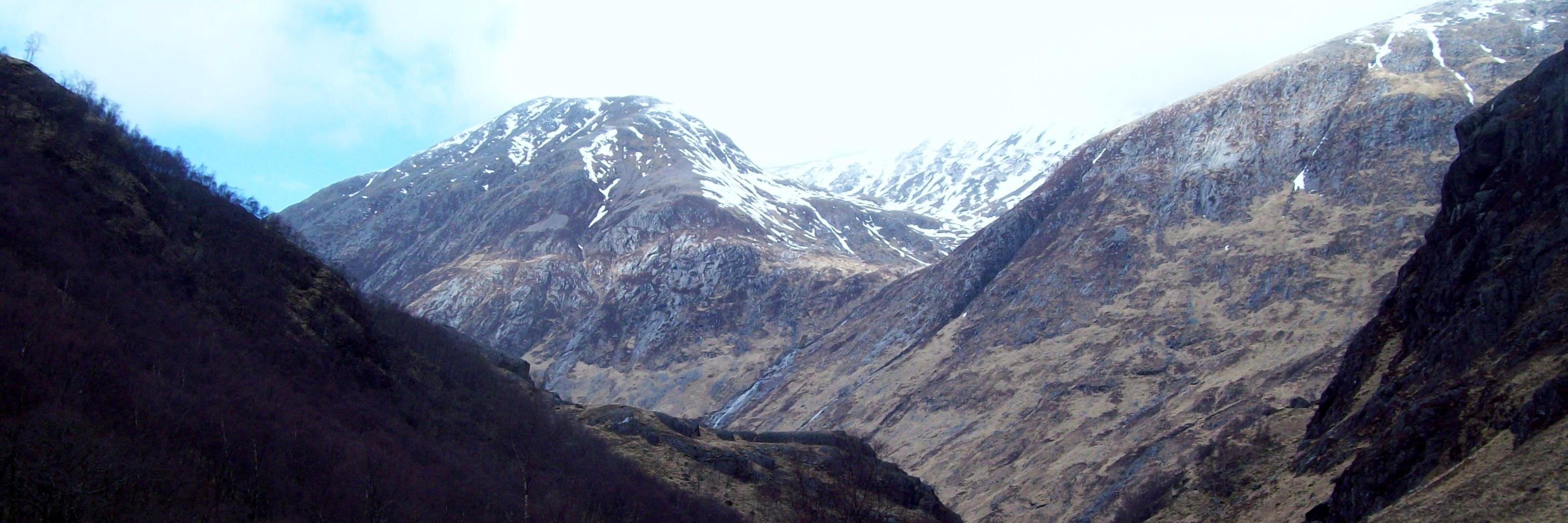 Lucia Wallbank banner