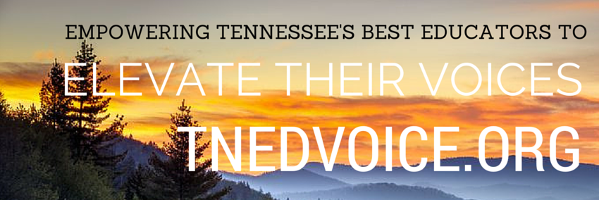 TNEdVoice's profile banner image