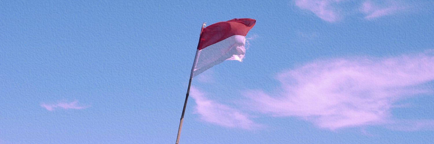 lingse__'s profile banner image