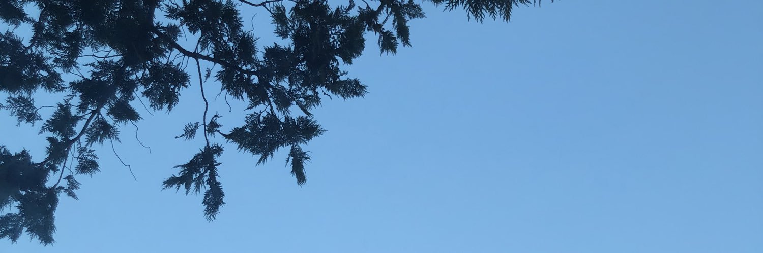 D_T_Peace's profile banner image