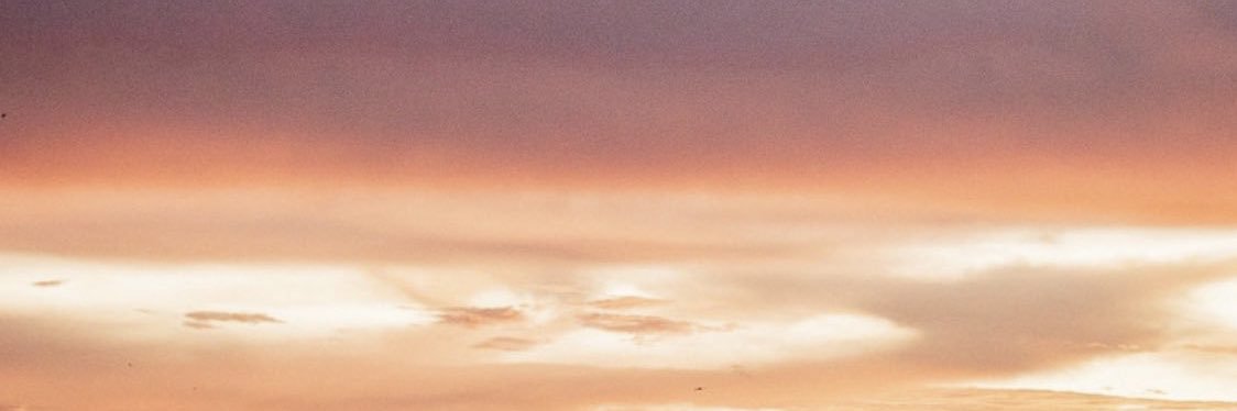 larajisa's profile banner image