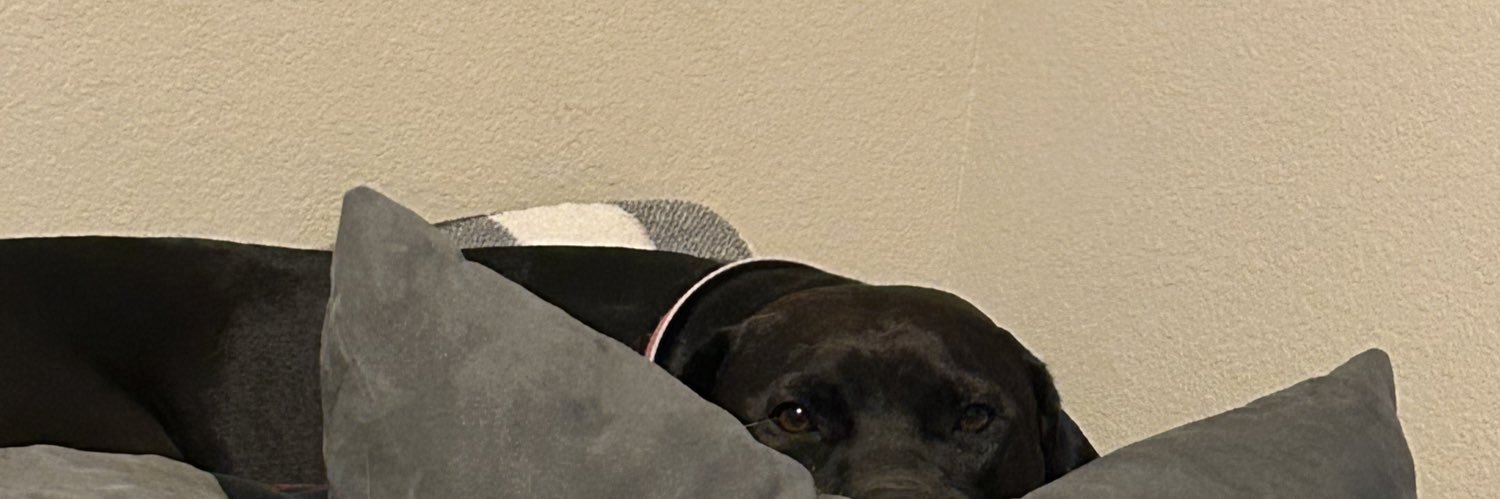 stevestheped's profile banner image